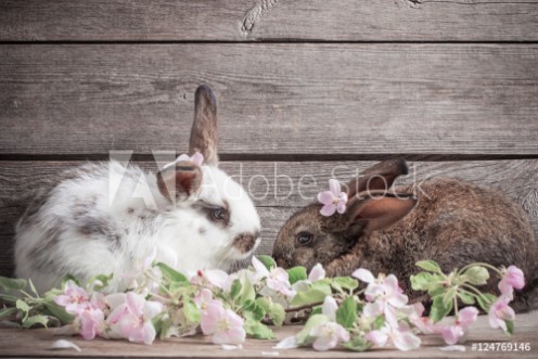 Picture of Two  rabbits with flowers on wooden  background